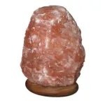 Carved Pink Rock Salt Lamp 9-11lbs