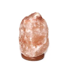 Hand Carved Natural Himalayan Salt Lamp