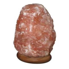 Carved Pink Rock Salt Lamp 9-11lbs