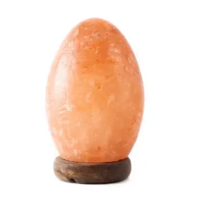 Hand-carved egg shaped Himalayan salt lamp with smooth organic form